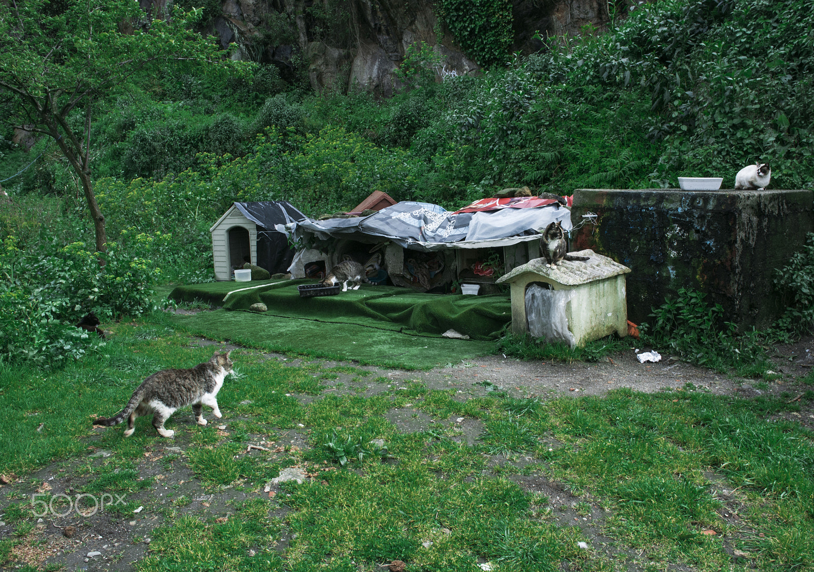 Nikon 1 V1 sample photo. Porto photography