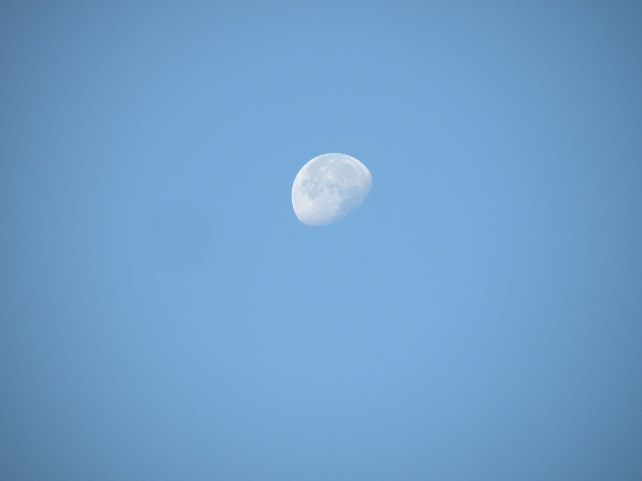 Nikon Coolpix P80 sample photo. Luna photography