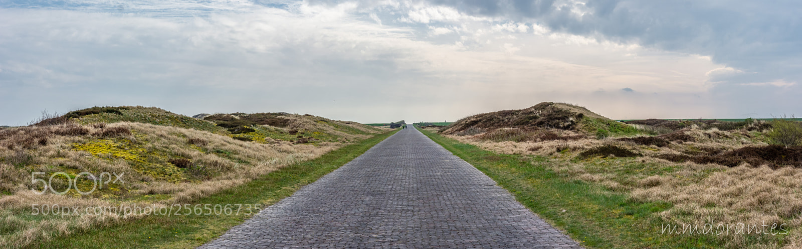 Nikon D5200 sample photo. Bike road in langeoog photography