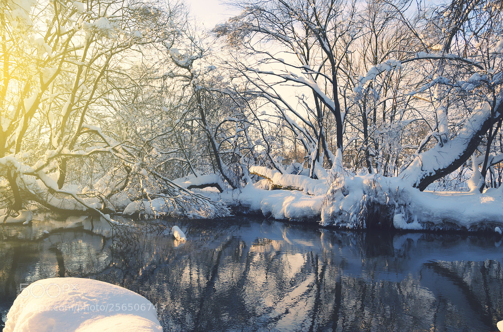 Nikon D5100 sample photo. Winter dream photography