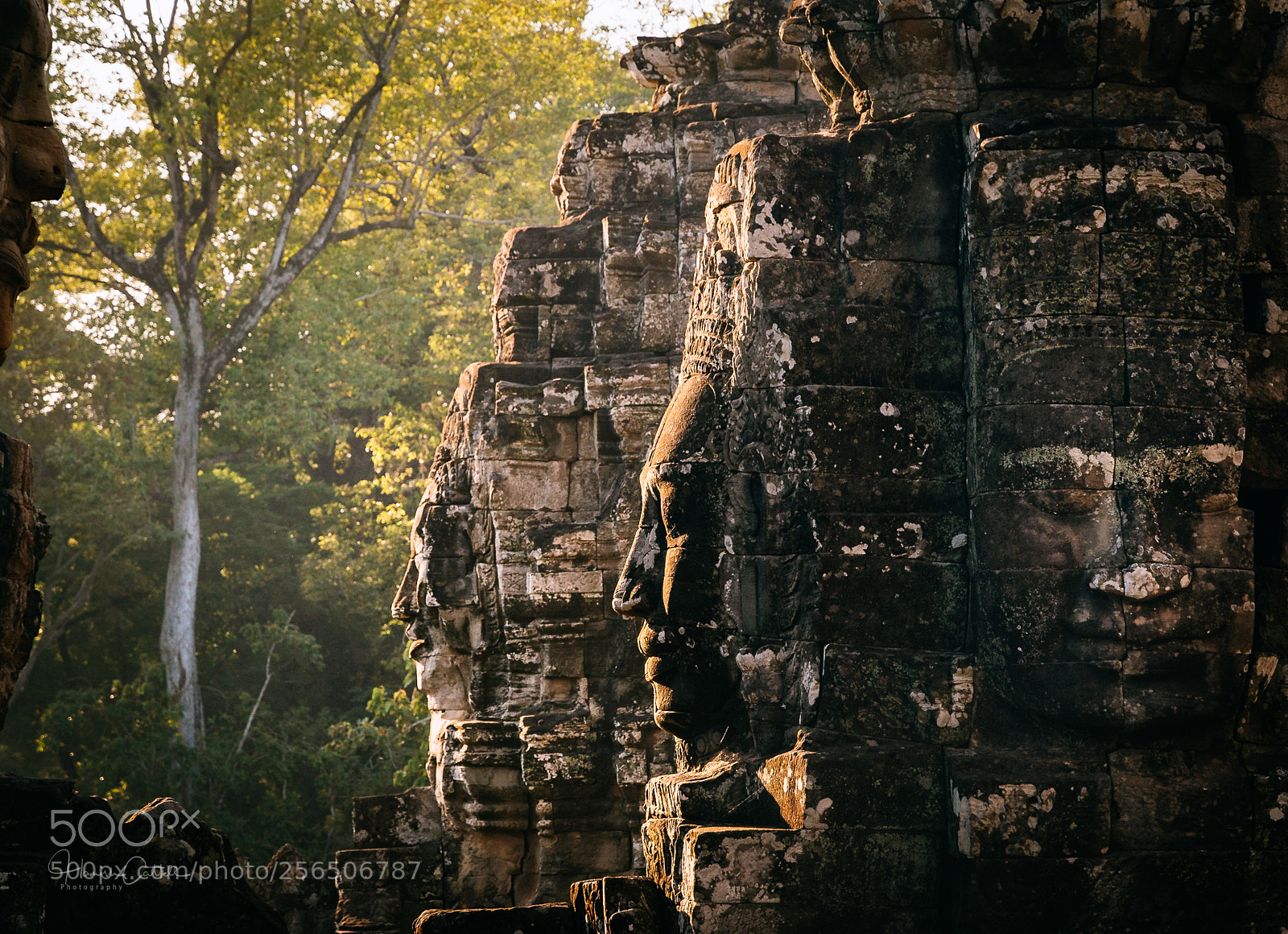 Nikon D5500 sample photo. The bayon photography