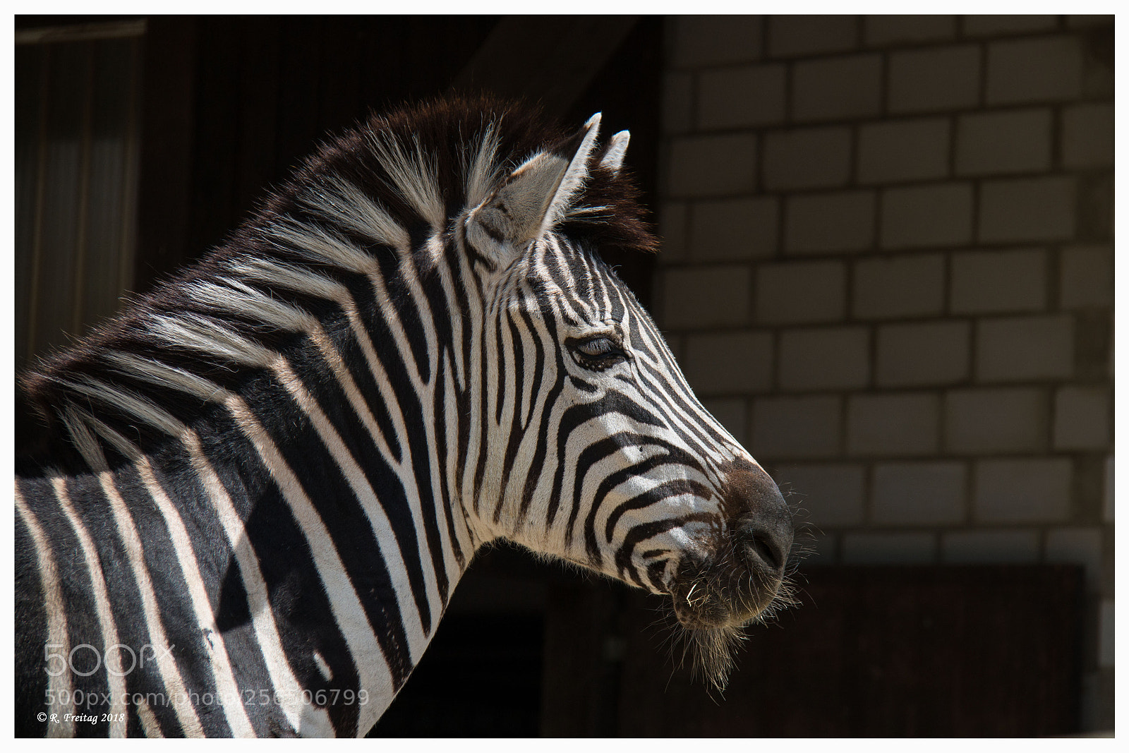 Canon EOS 70D sample photo. Black&white photography