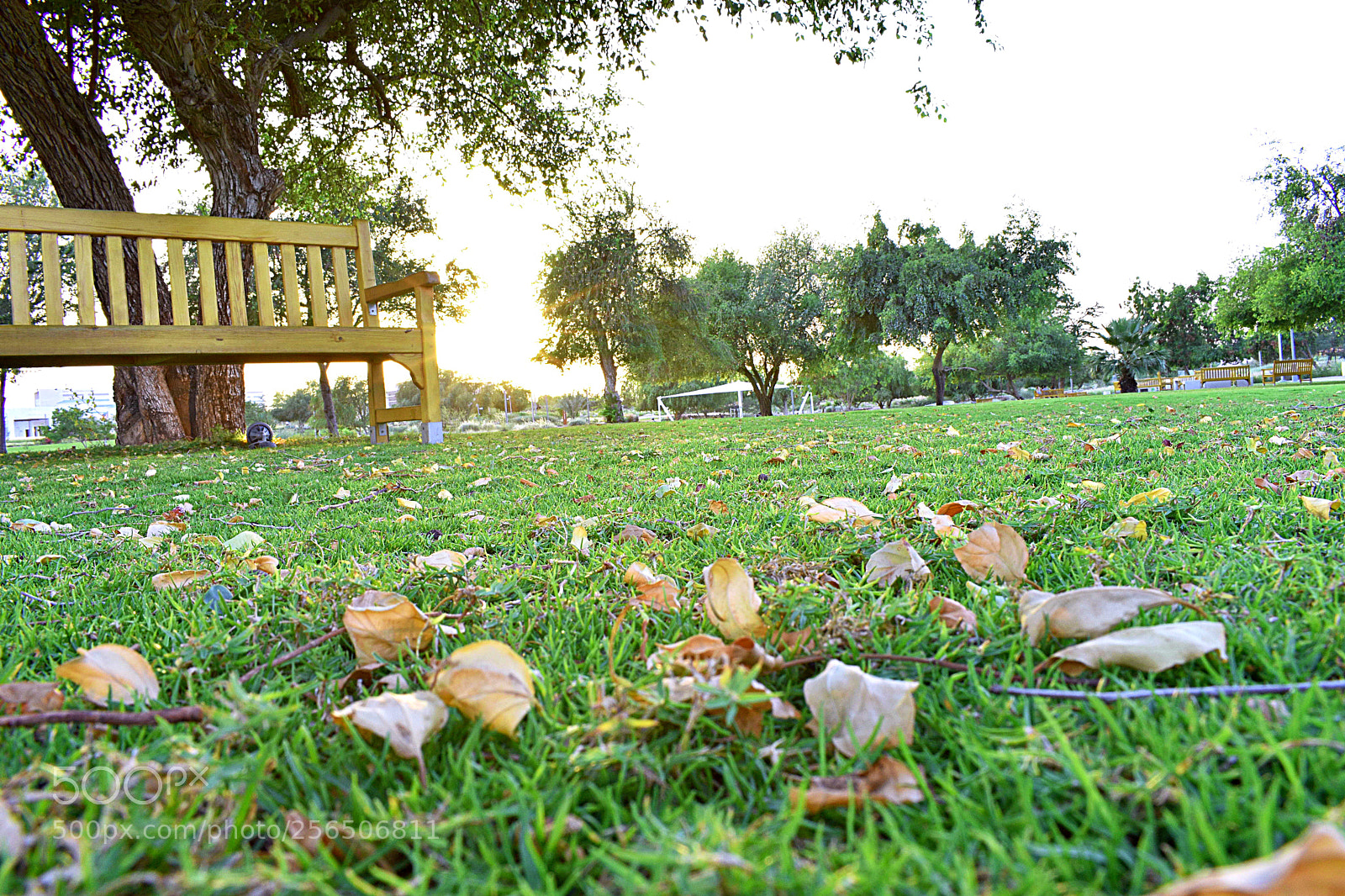 Nikon D3400 sample photo. Albida park photography