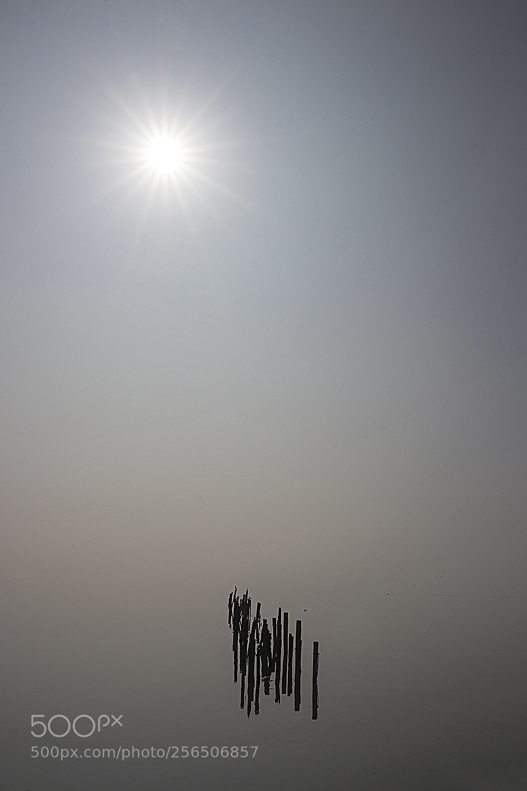 Canon EOS 80D sample photo. Foggy photography