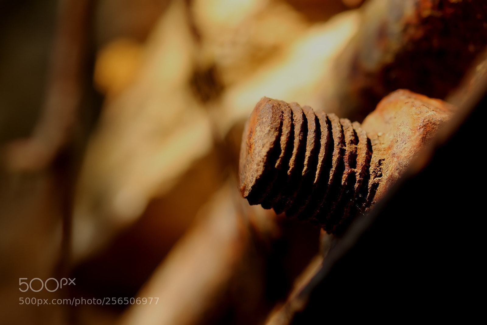 Canon EOS 77D (EOS 9000D / EOS 770D) sample photo. Old metal! photography