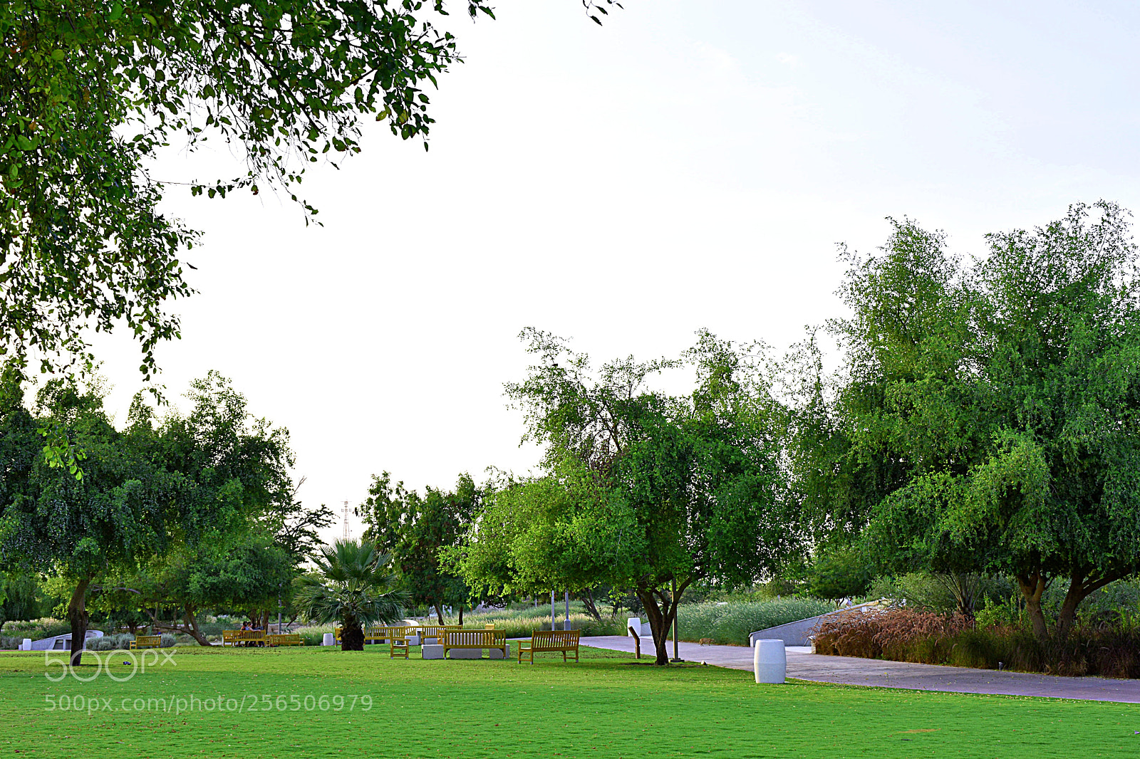Nikon D3400 sample photo. Al bida park photography