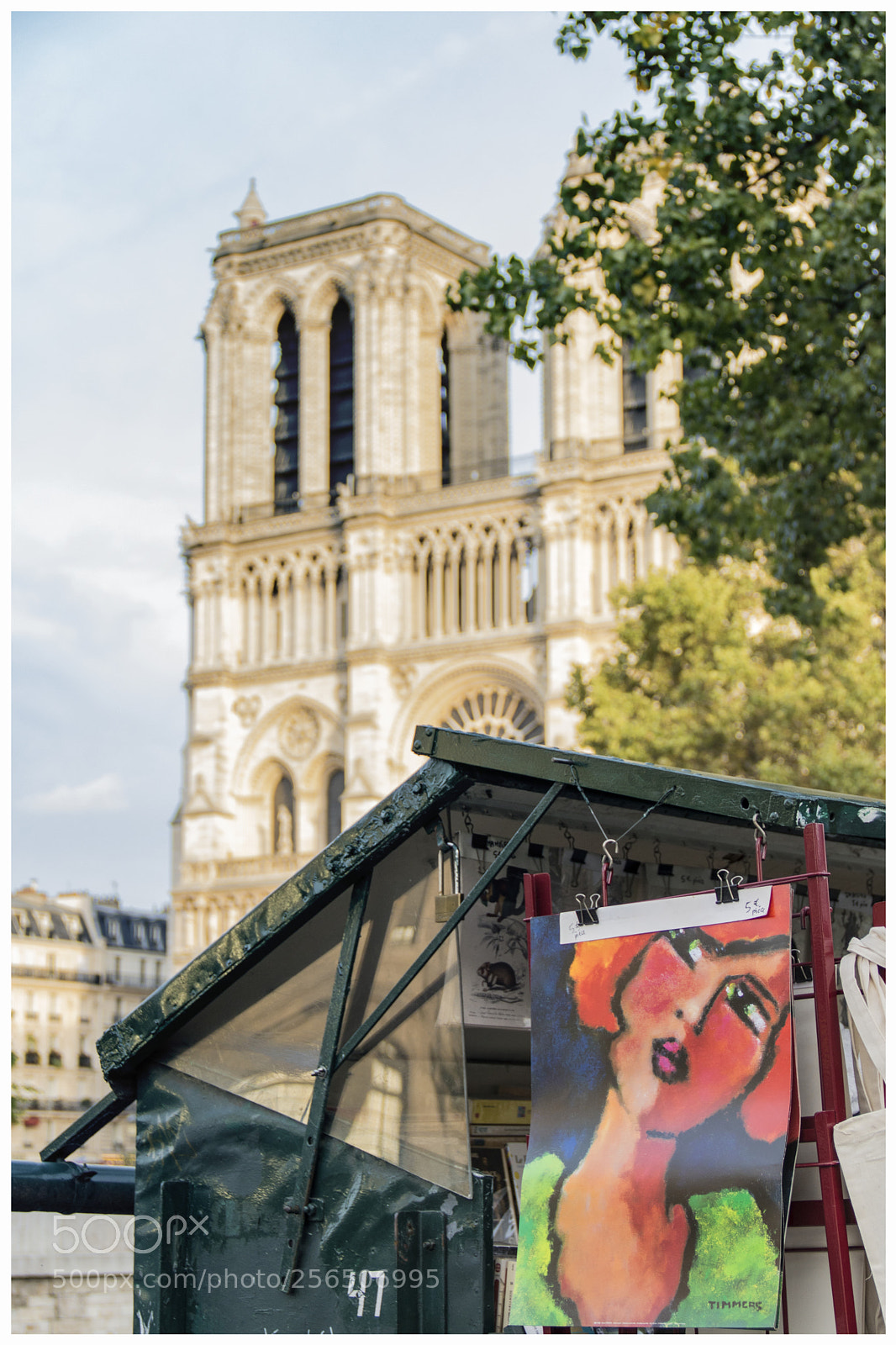 Canon EOS 760D (EOS Rebel T6s / EOS 8000D) sample photo. Notre dame et une photography