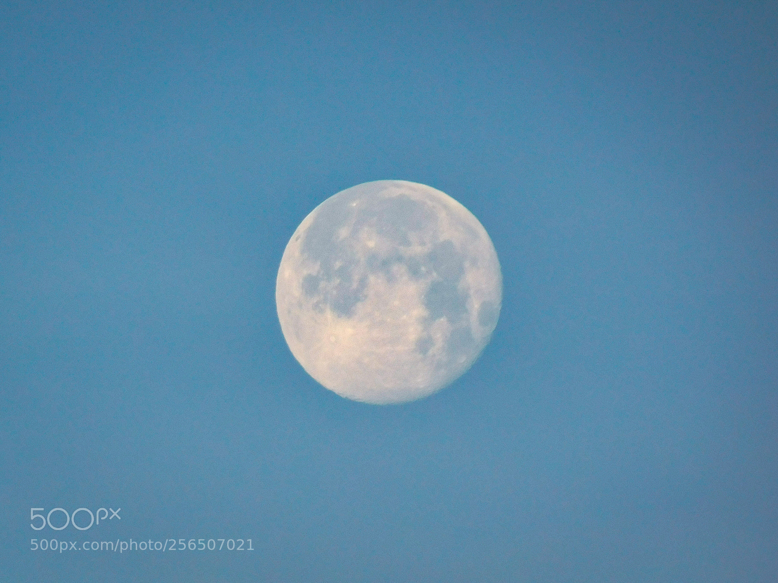 Nikon Coolpix B500 sample photo. Early morning moonlight photography