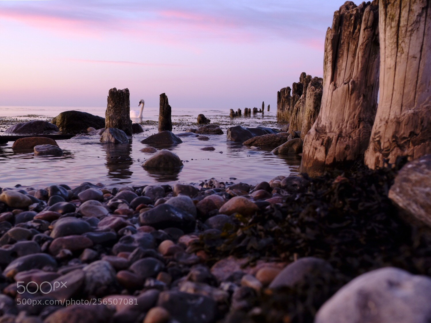 Fujifilm X-T20 sample photo. Glowiger abend. d.  photography