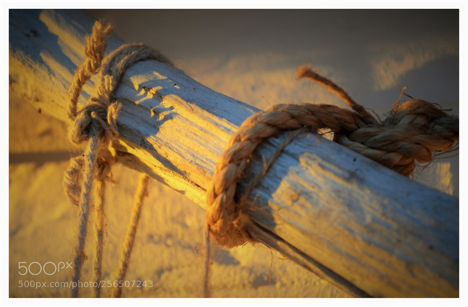 Nikon D5100 sample photo. Multiple connection pt. 1 photography