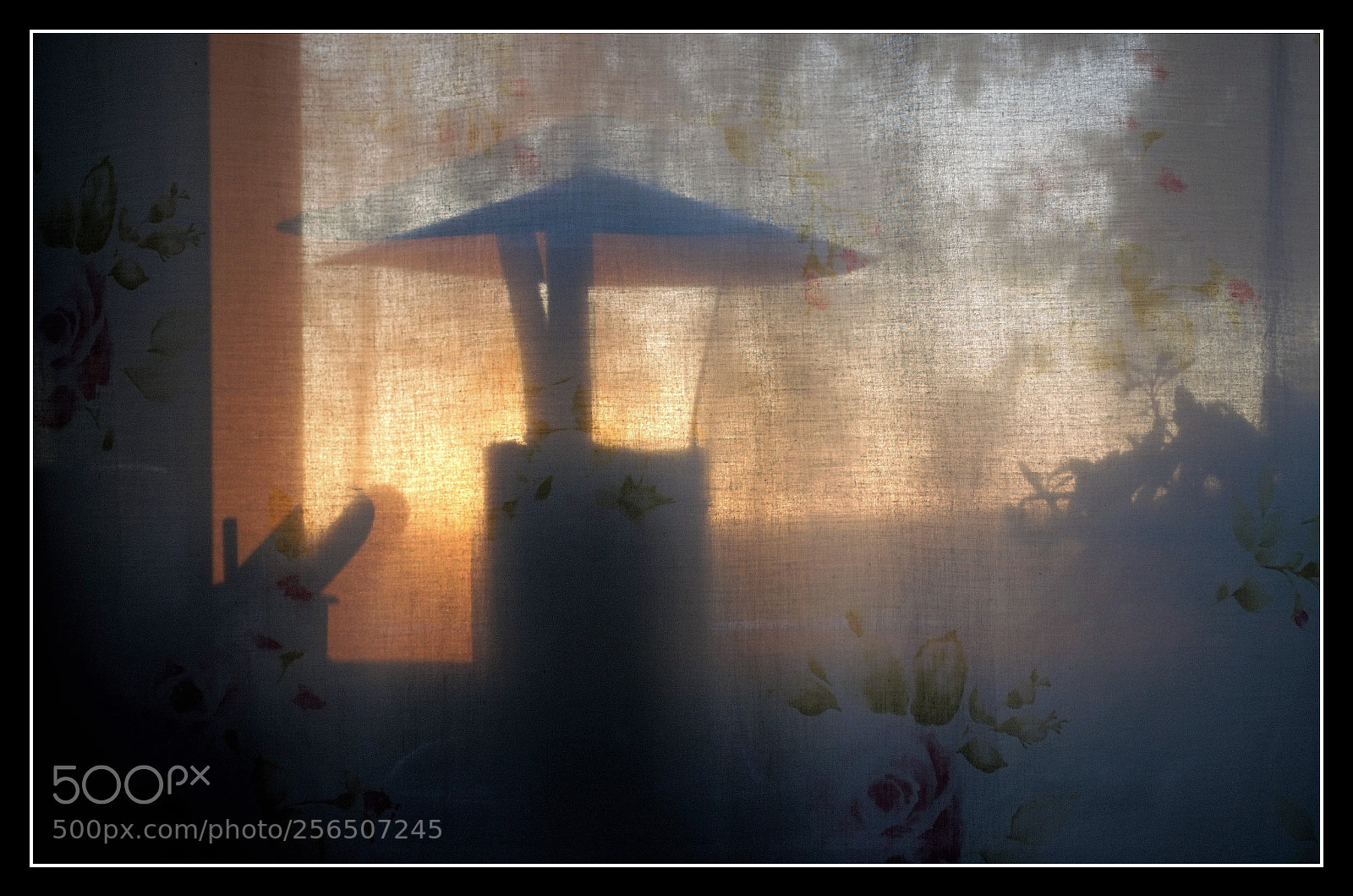 Nikon D5100 sample photo. Behind the curtain photography