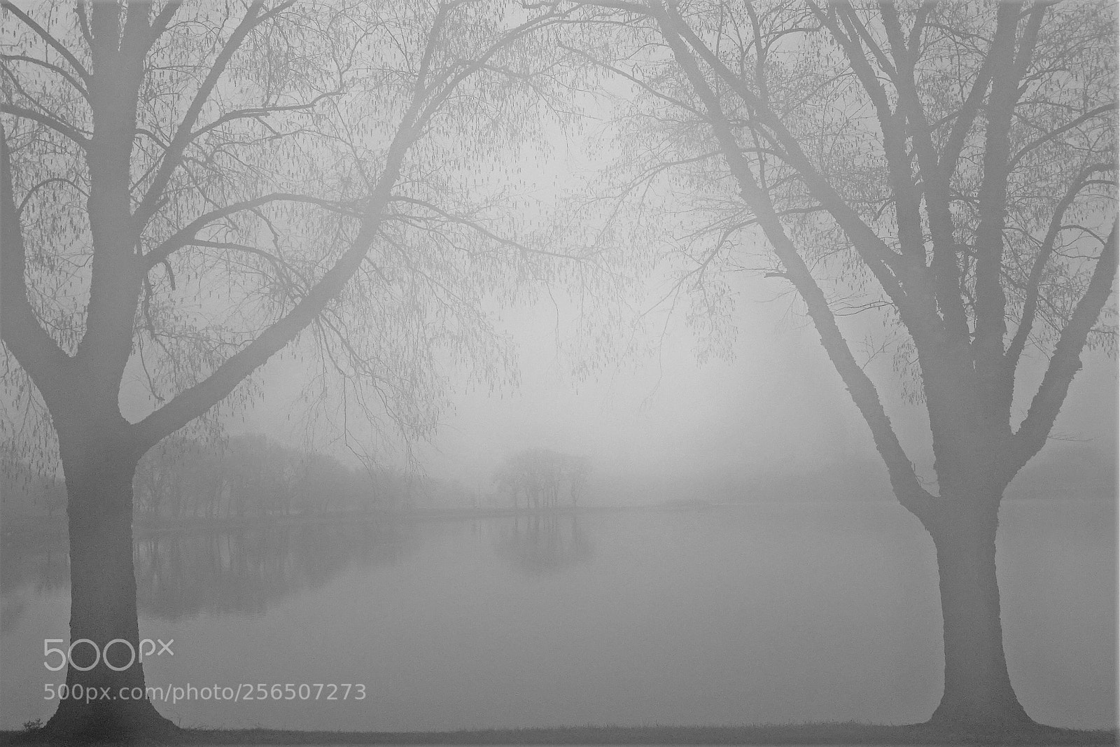 Sony Cyber-shot DSC-HX400V sample photo. Morning  fog photography