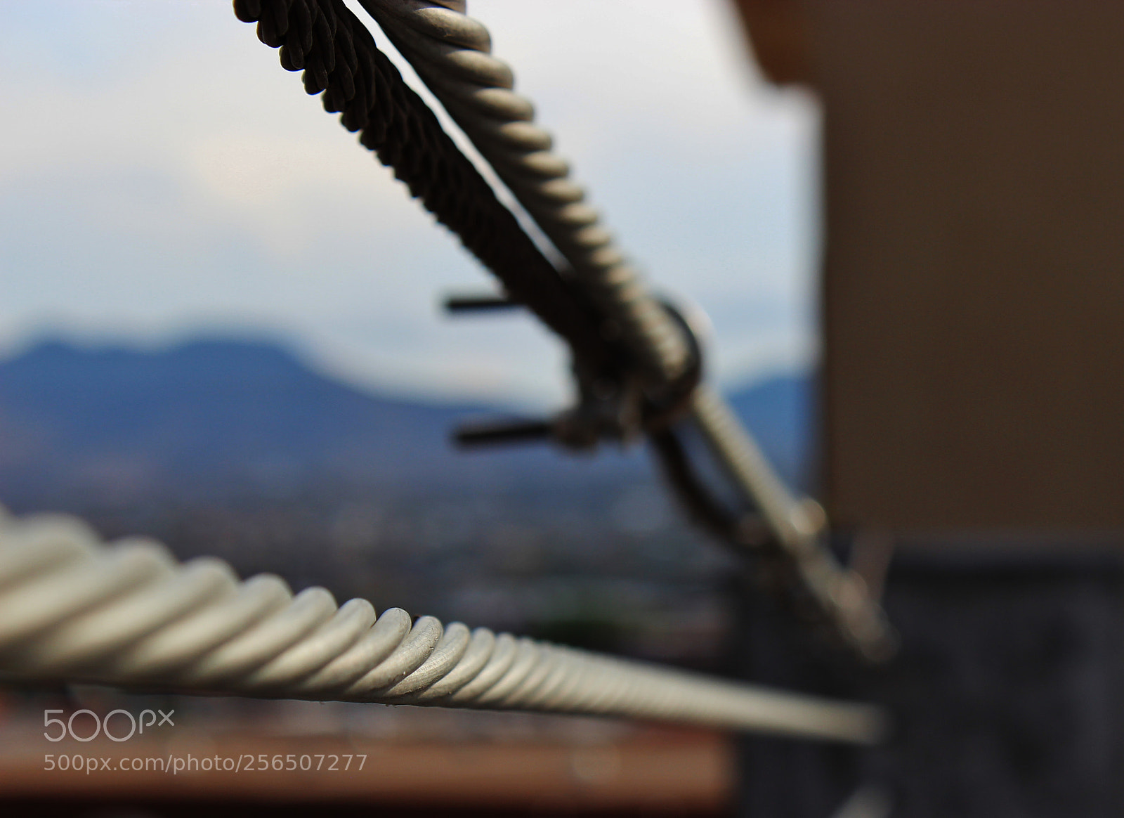 Canon EOS 600D (Rebel EOS T3i / EOS Kiss X5) sample photo. Cable photography