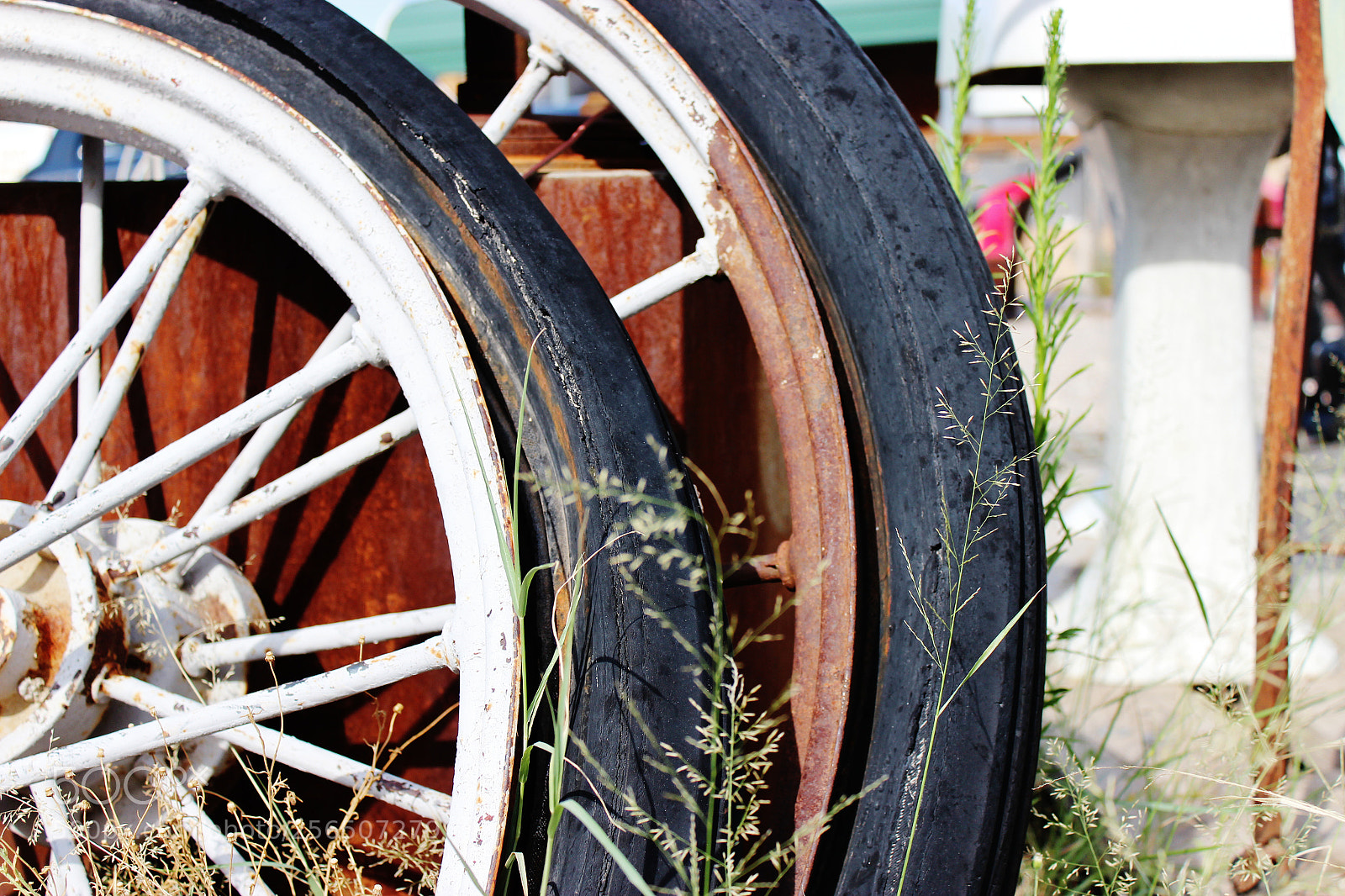 Canon EOS 600D (Rebel EOS T3i / EOS Kiss X5) sample photo. Wagon wheel photography