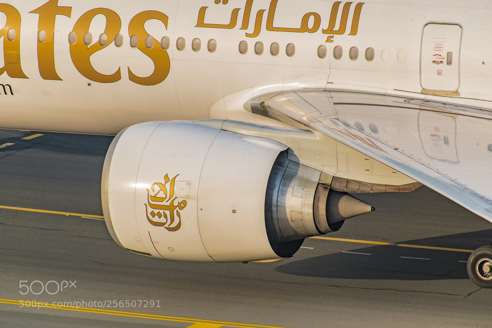 Nikon D5600 sample photo. Fly emirates photography