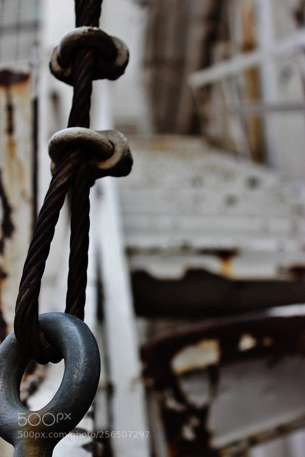Canon EOS 600D (Rebel EOS T3i / EOS Kiss X5) sample photo. Still holding photography
