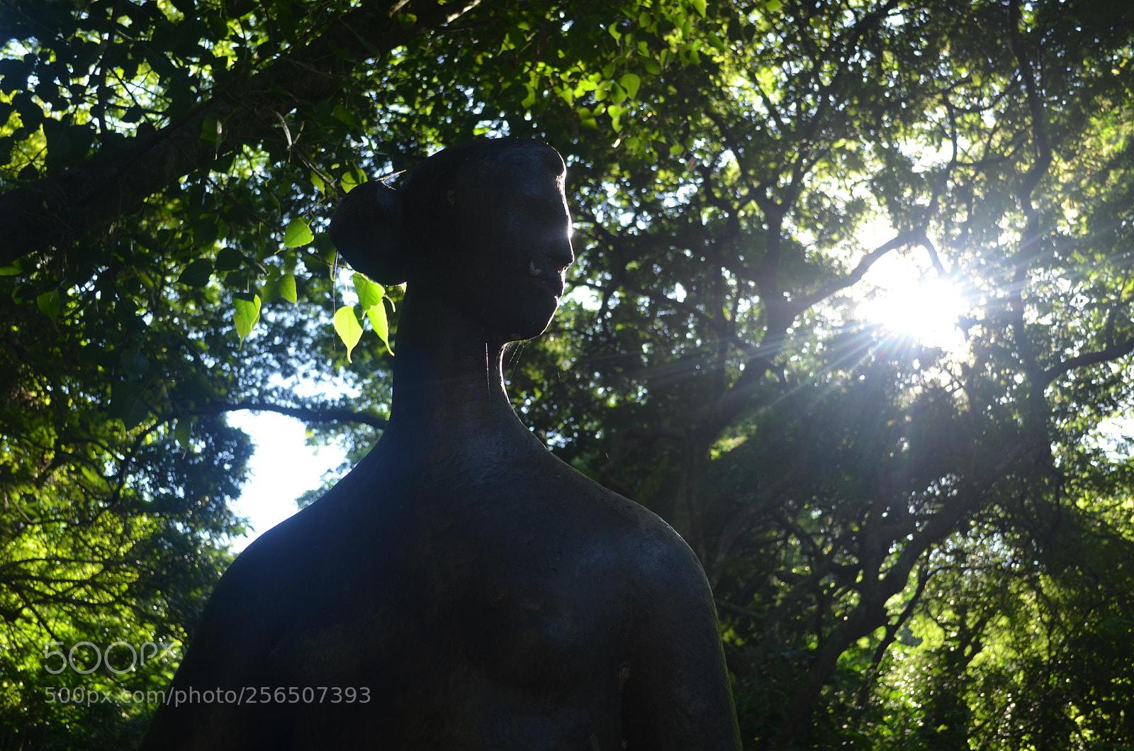Nikon D5100 sample photo. Pq. da catacumba 3 photography