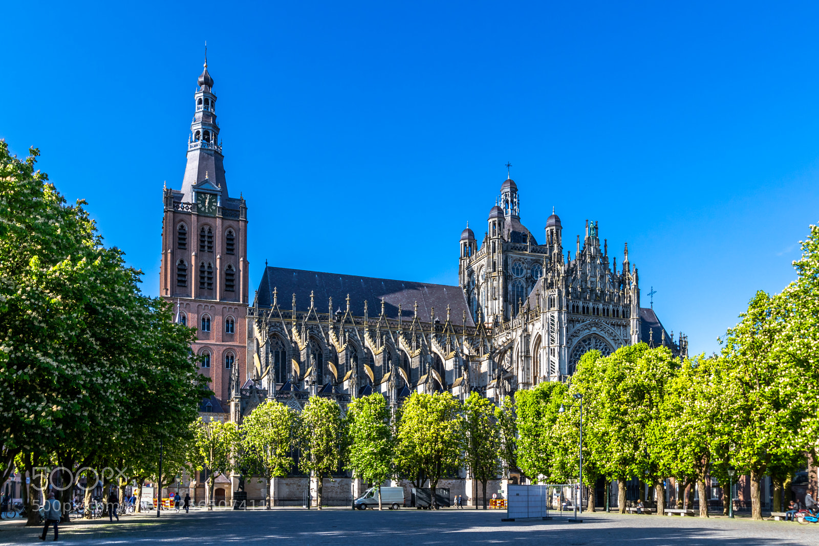 Canon EOS 80D sample photo. Sint-janskathedraal photography