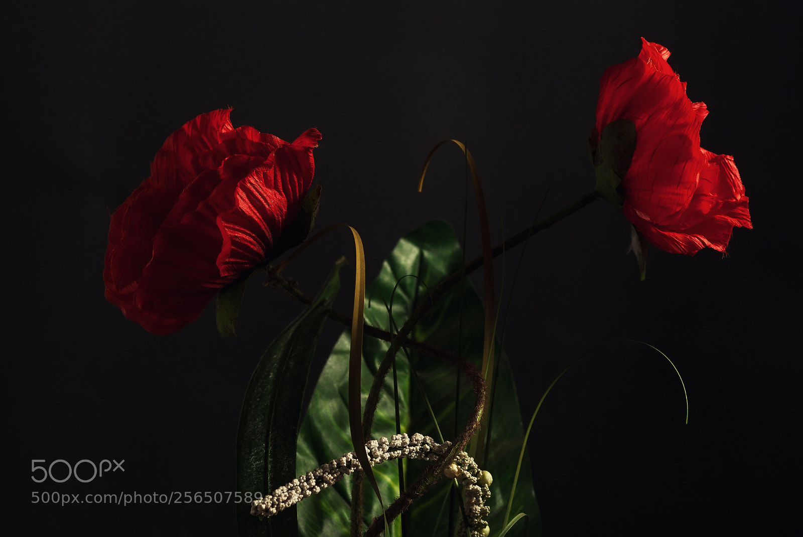 Sony Alpha DSLR-A230 sample photo. Red poppies photography