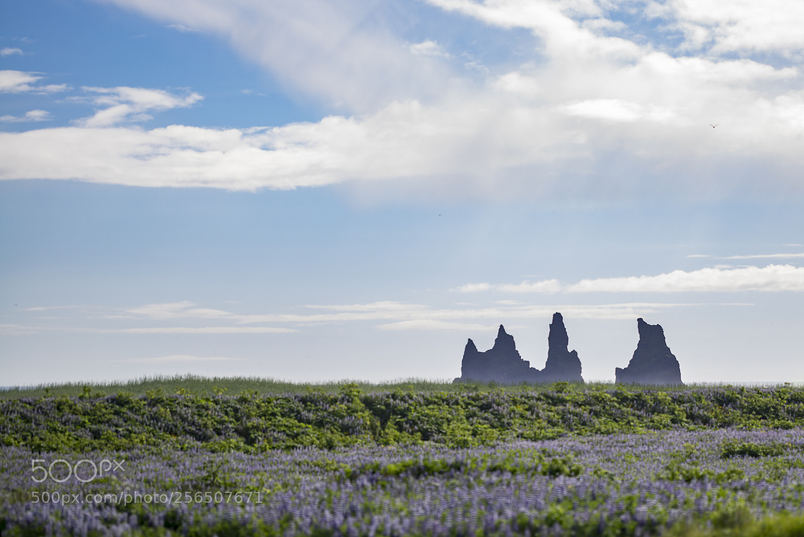 Sony a7R sample photo. Castle rock in the photography