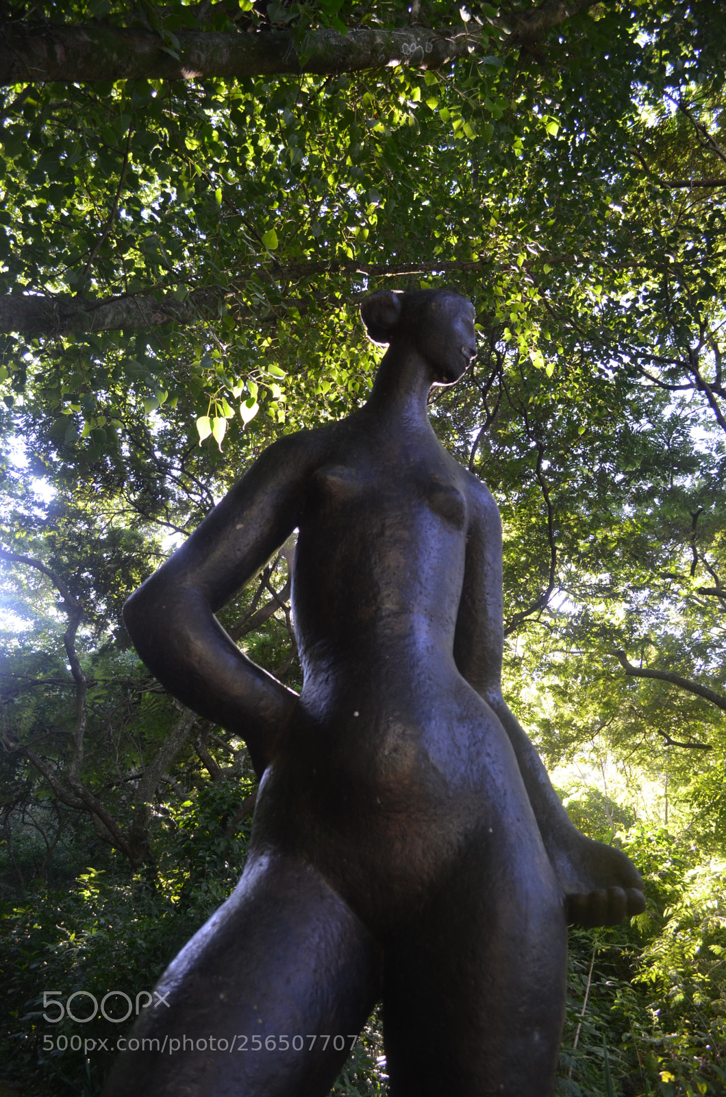 Nikon D5100 sample photo. Pq. da catacumba 3.1 photography