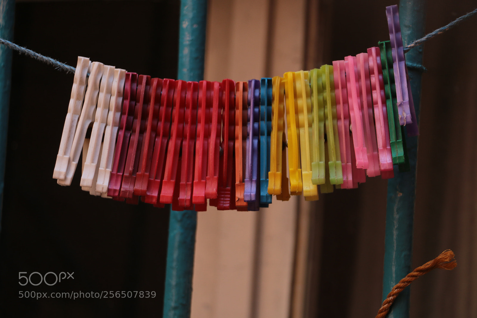 Canon EOS 70D sample photo. Img photography