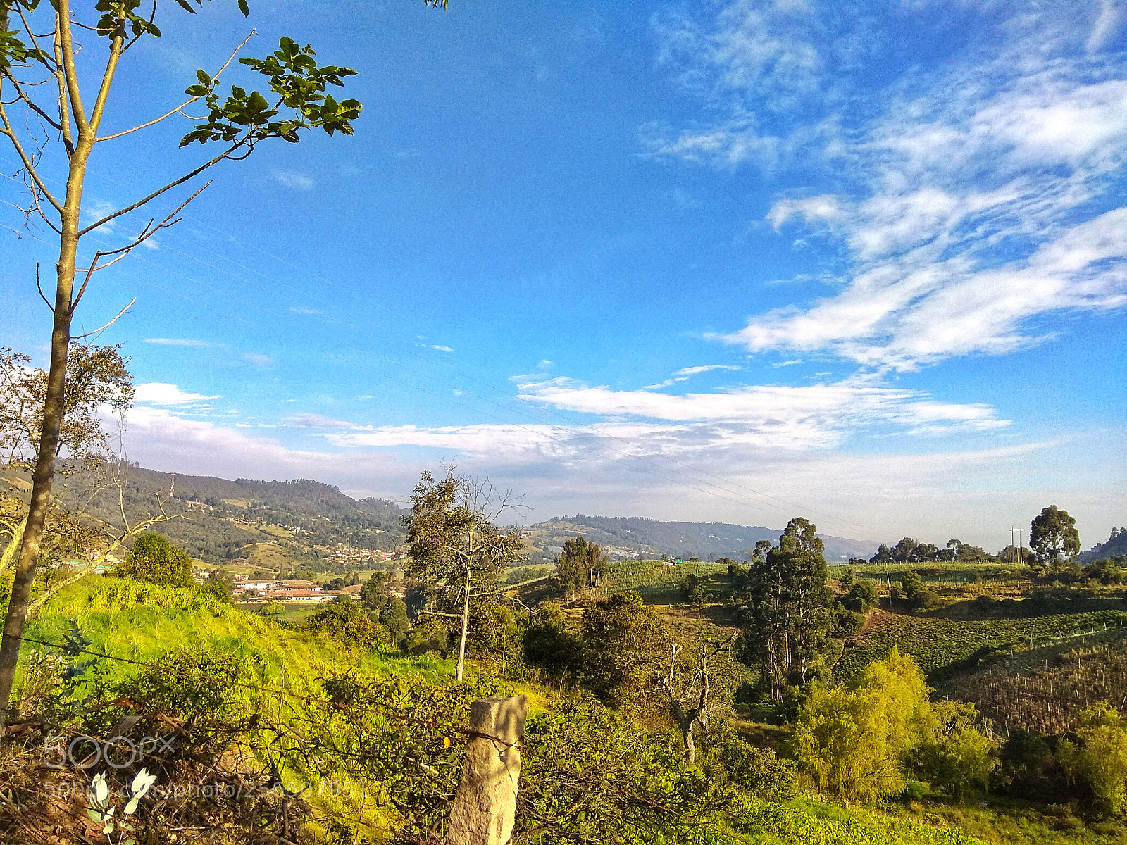 Xiaomi Redmi Note 4 sample photo. The beautiful nature photography