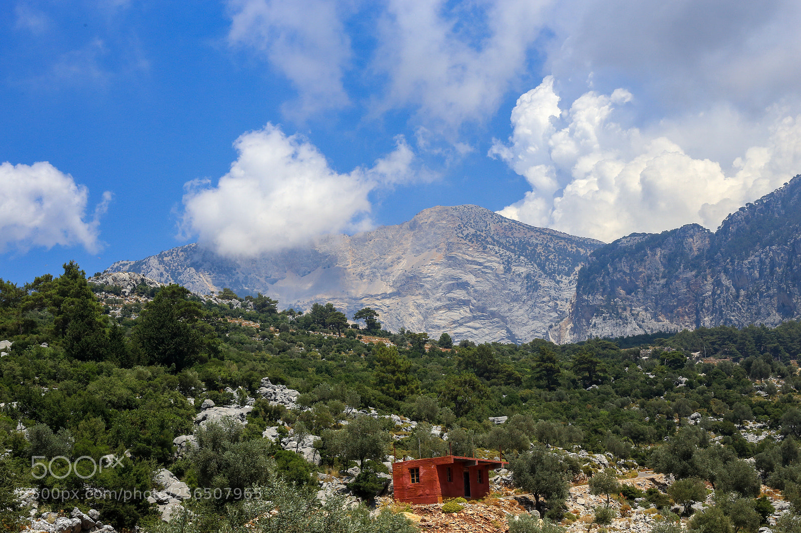 Canon EOS 6D sample photo. Untitled photography