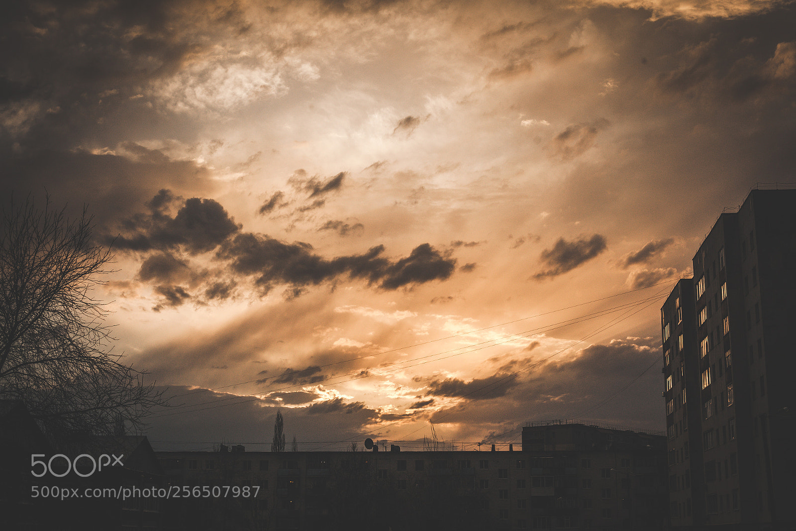 Canon EOS 5D Mark II sample photo. Untitled photography