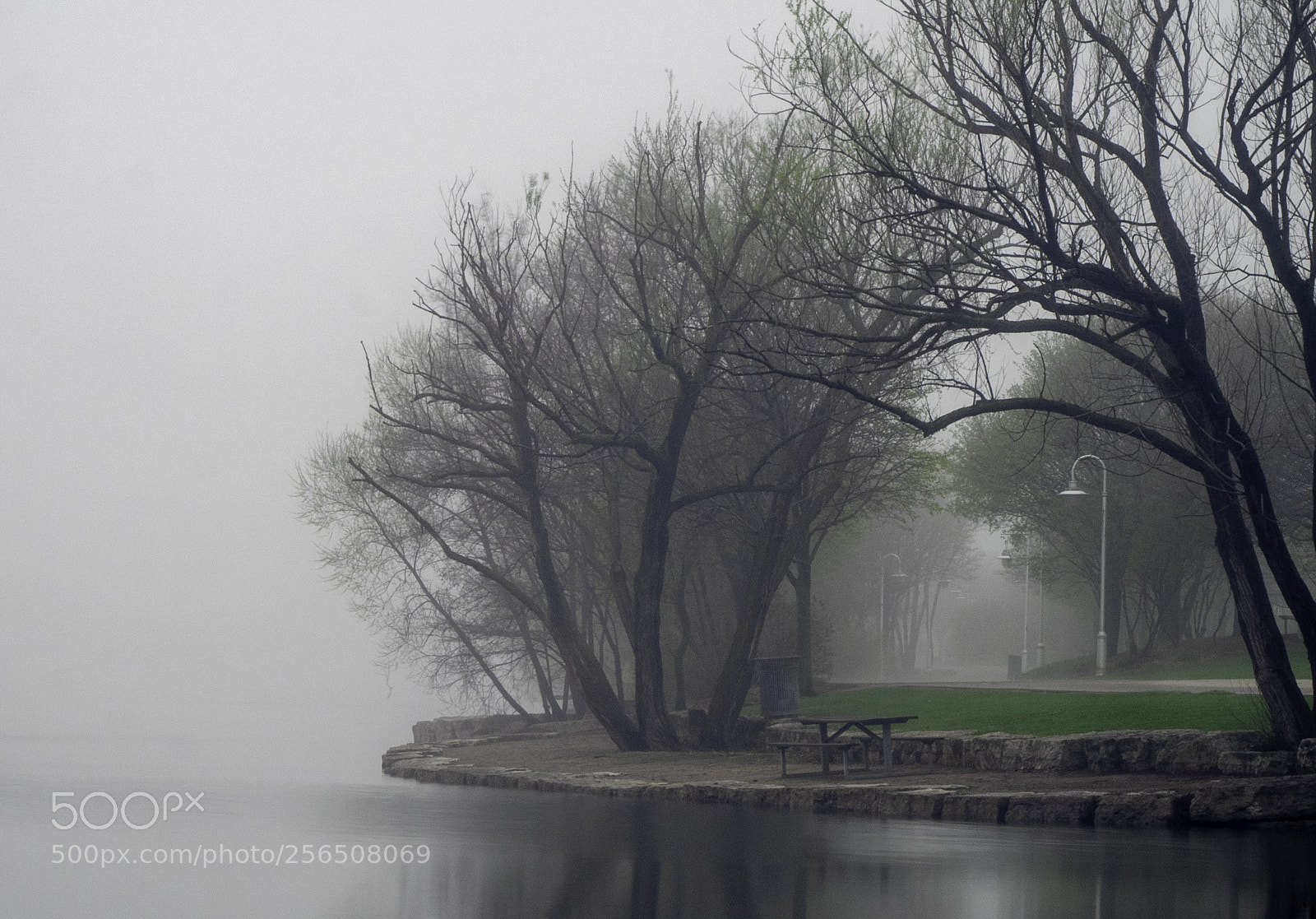Olympus OM-D E-M1 sample photo. Foggy morning photography