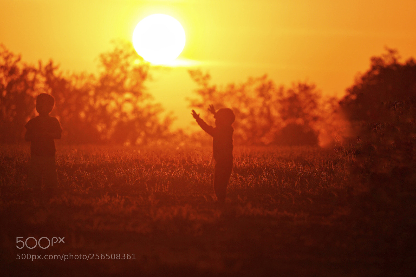 Canon EOS 5D Mark IV sample photo. Untitled photography