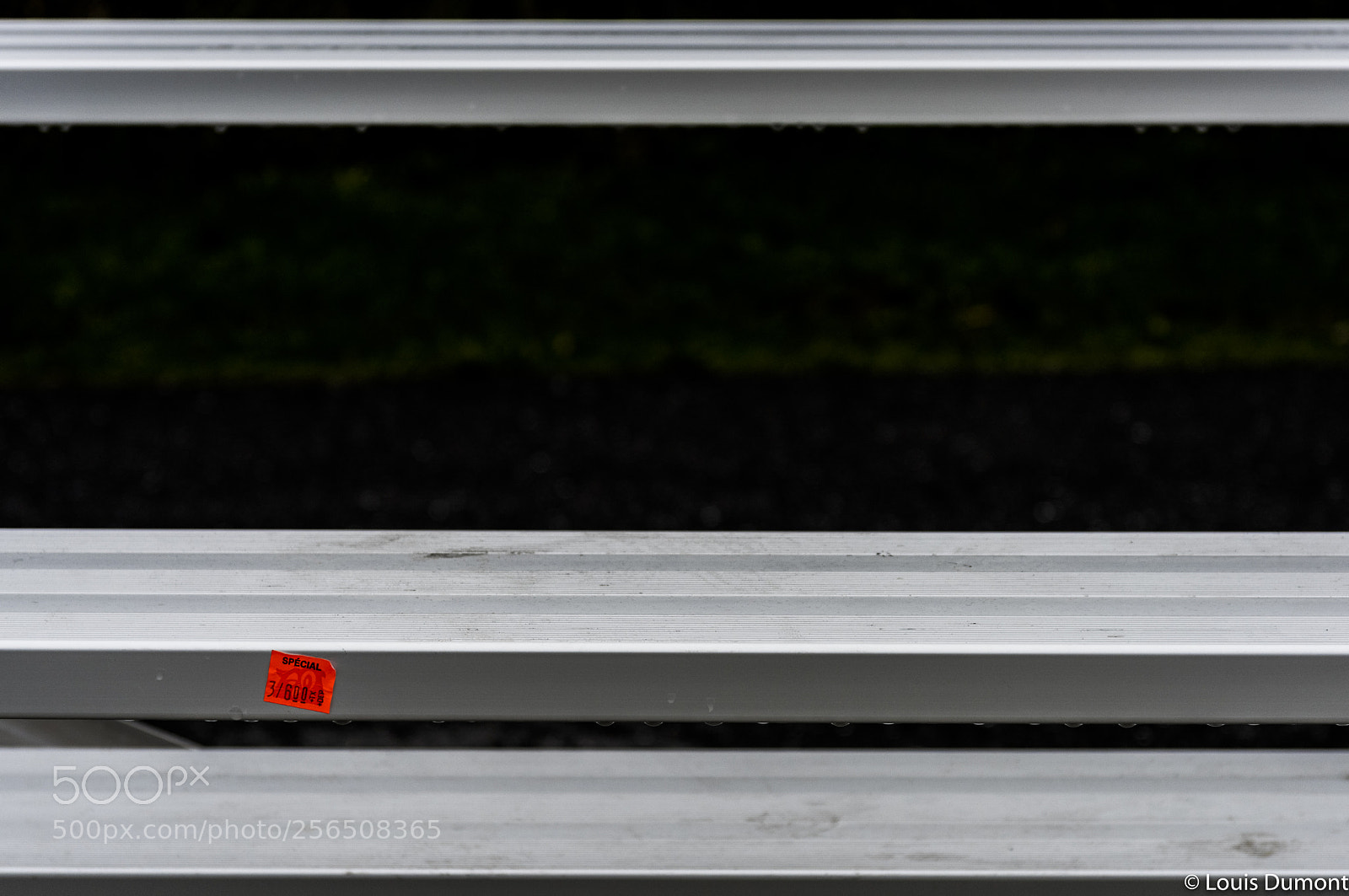 Nikon D810 sample photo. Estrades de baseball photography