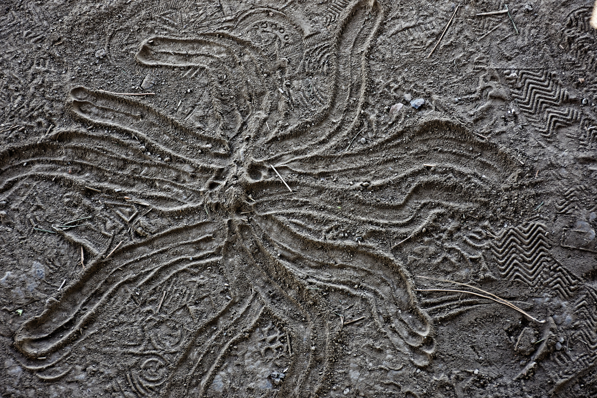 Nikon D7200 sample photo. Art in the sand photography