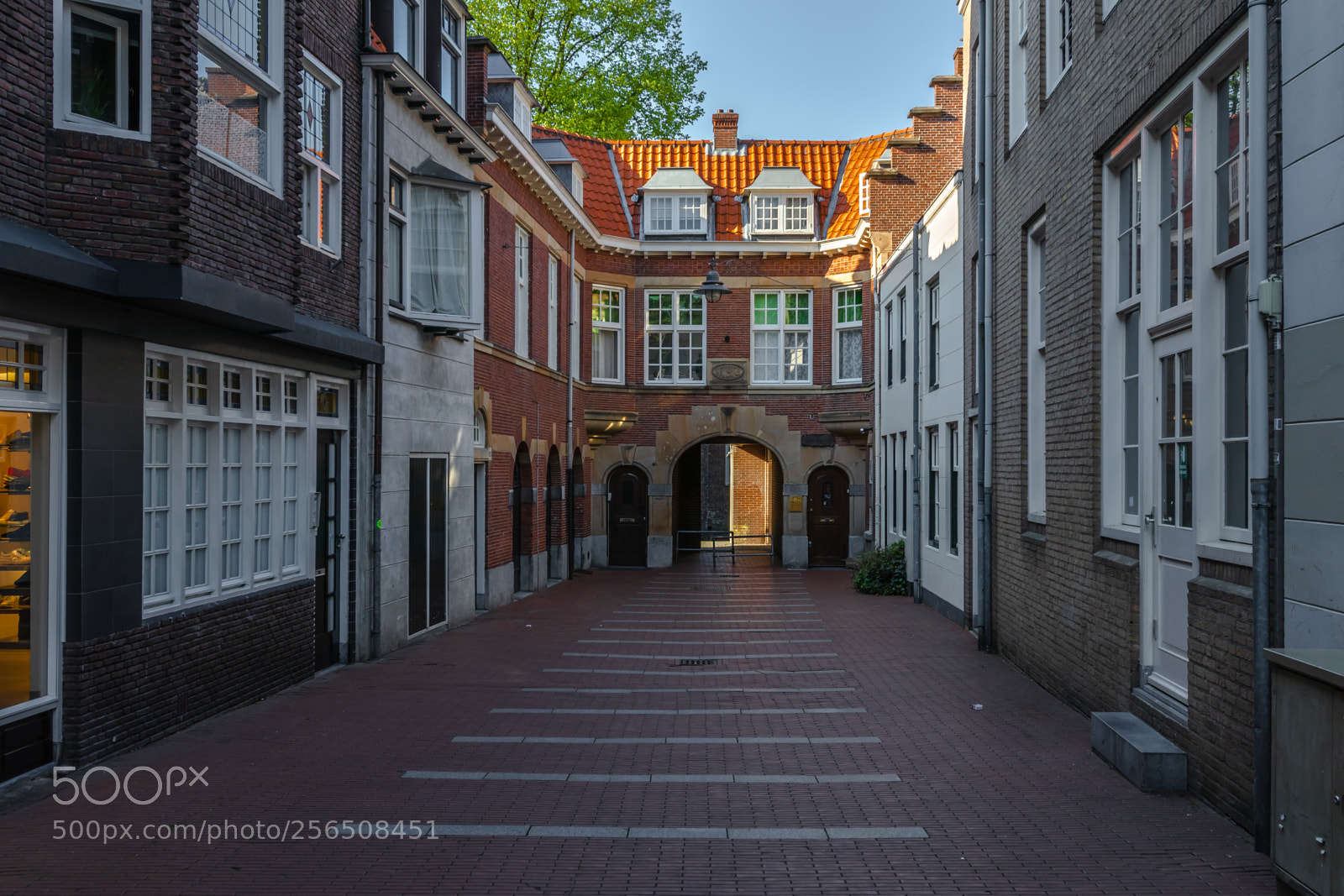 Canon EOS 80D sample photo. De knillispoort photography