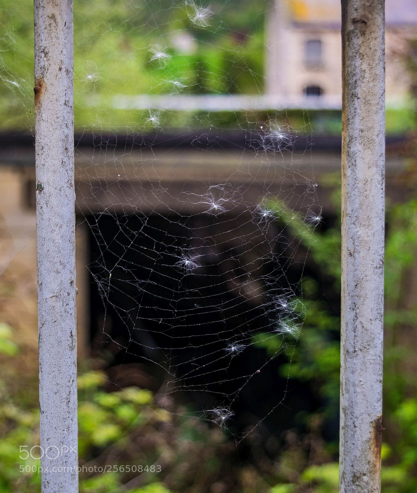 Nikon D3300 sample photo. Derelict photography