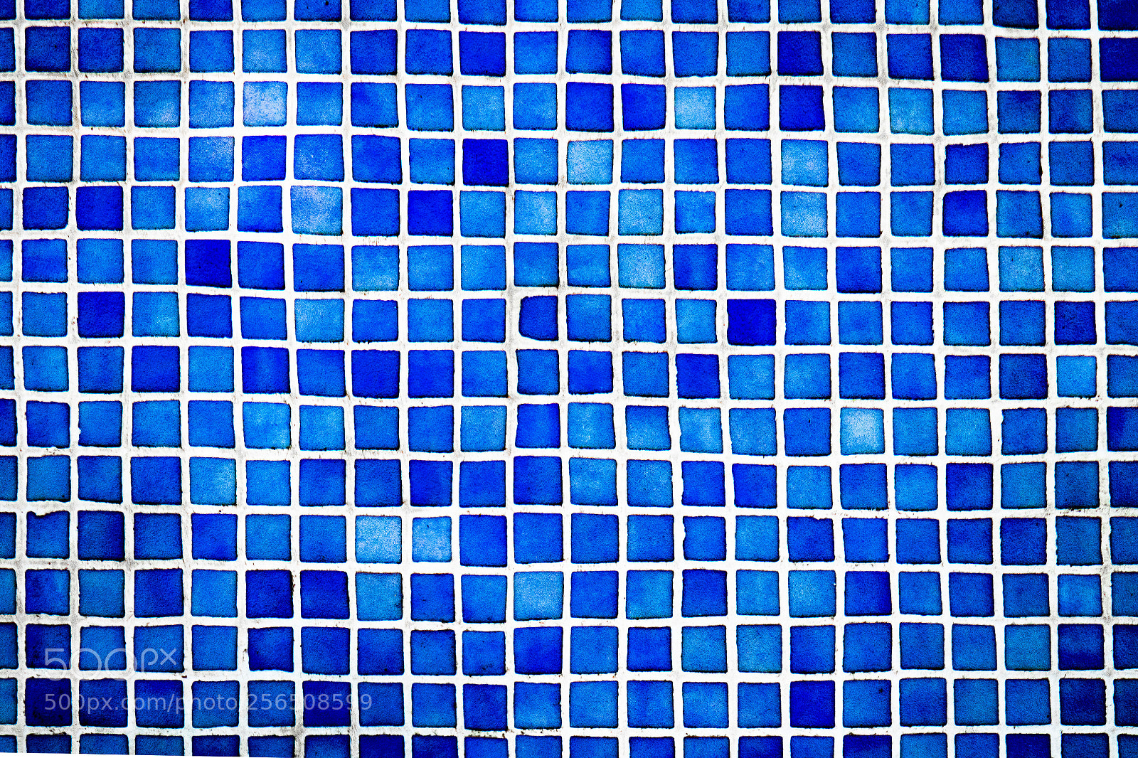 Canon EOS 200D (EOS Rebel SL2 / EOS Kiss X9) sample photo. Shades of blue photography