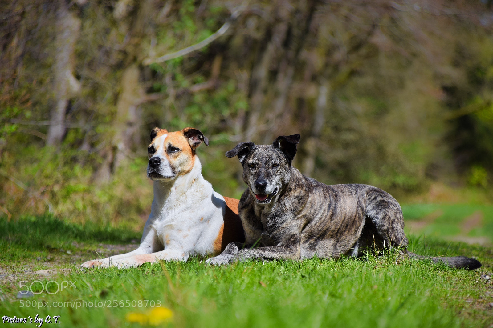 Nikon D3300 sample photo. Sonne genießen photography
