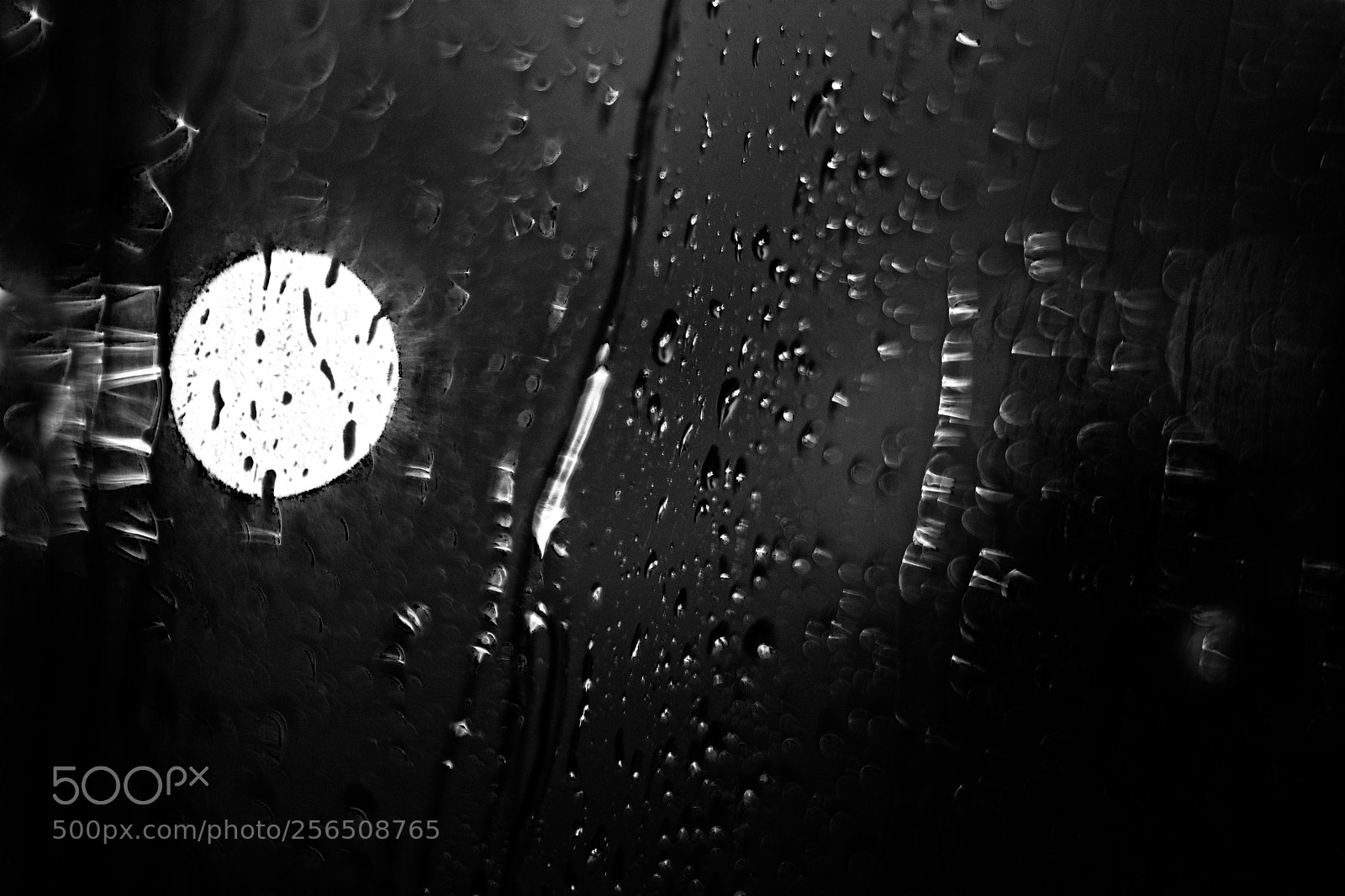 Nikon D7100 sample photo. Untitled photography