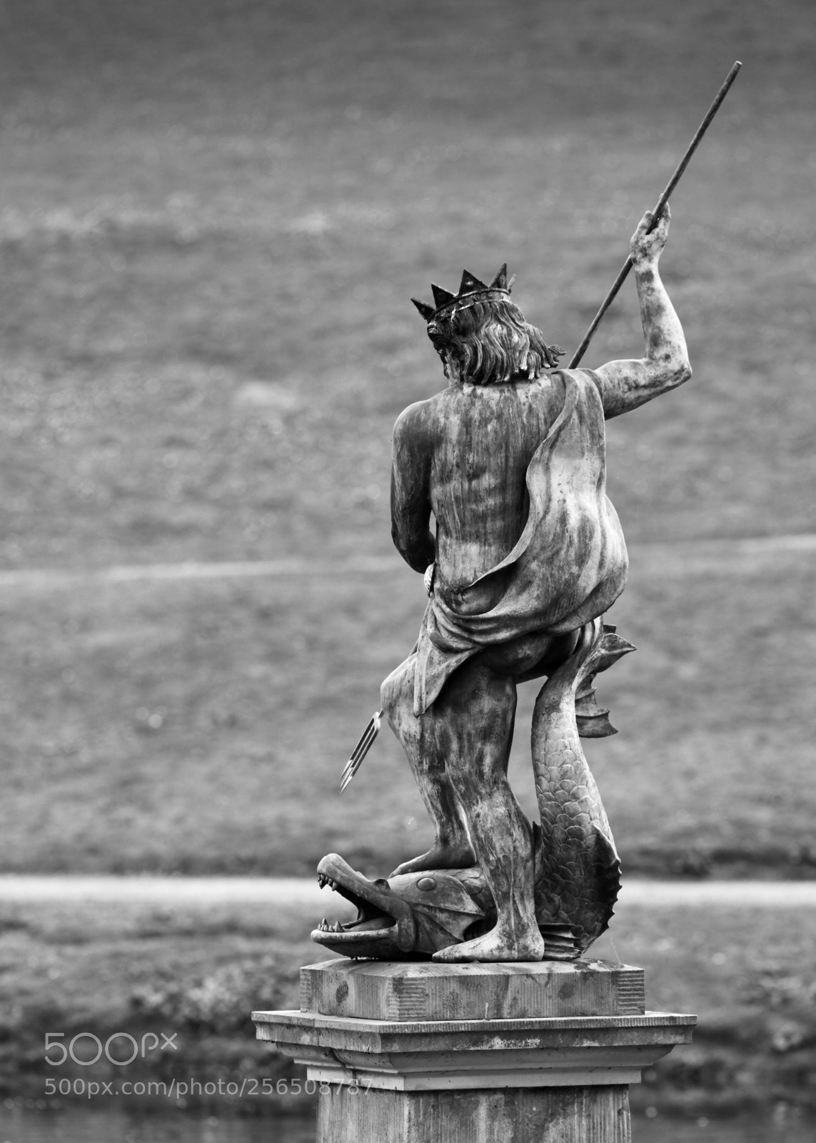 Canon EOS 5D Mark IV sample photo. King neptune ii photography