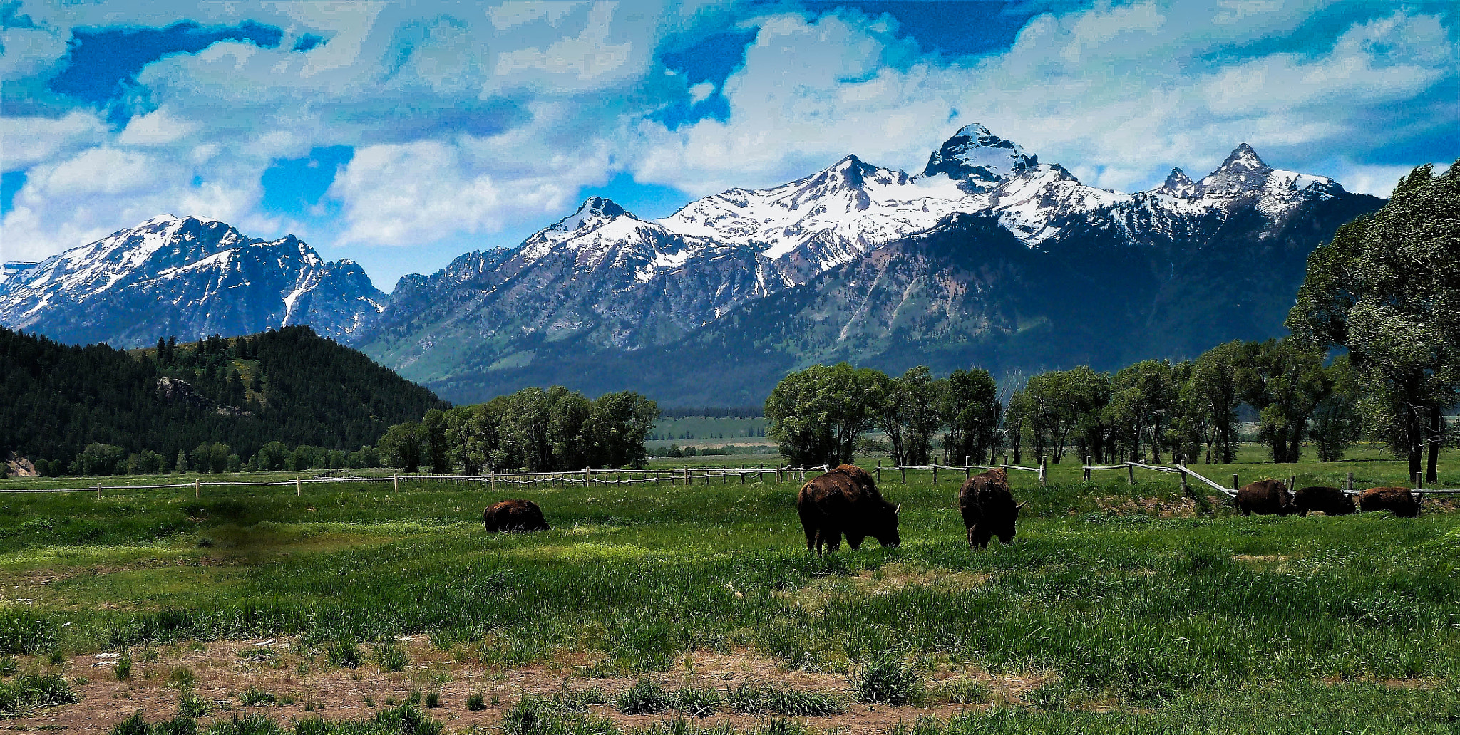 Panasonic Lumix DMC-ZS5 (Lumix DMC-TZ8) sample photo. Surreal teton mountain meadow photography