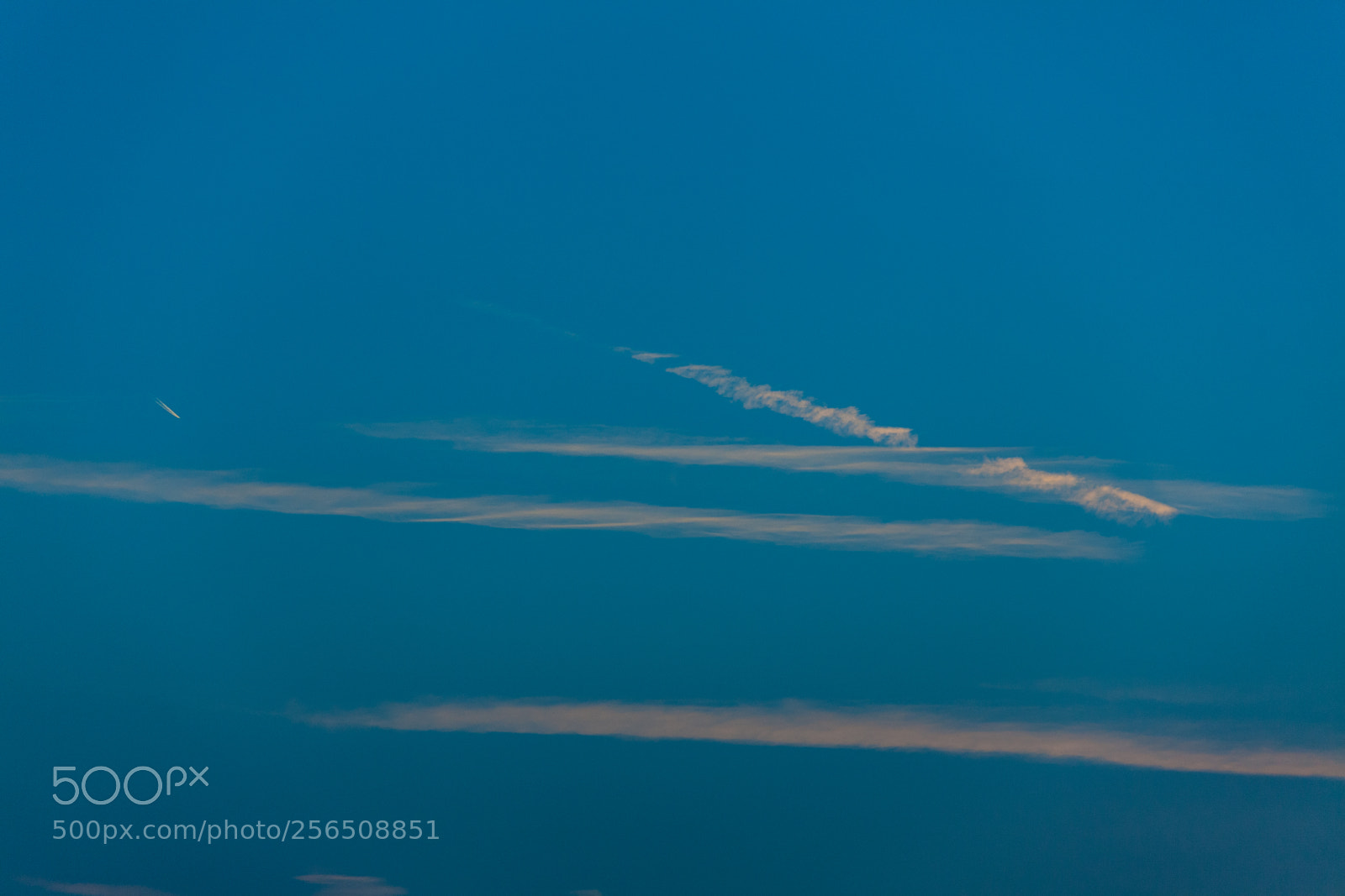Canon EOS 5D Mark II sample photo. Untitled photography