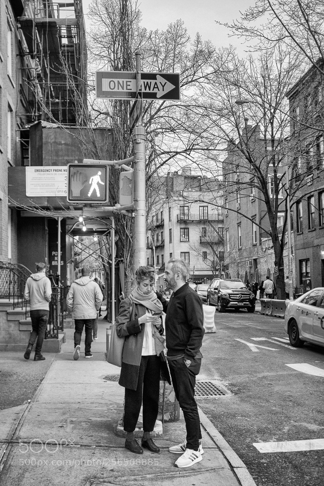 Olympus OM-D E-M5 sample photo. Which way? photography