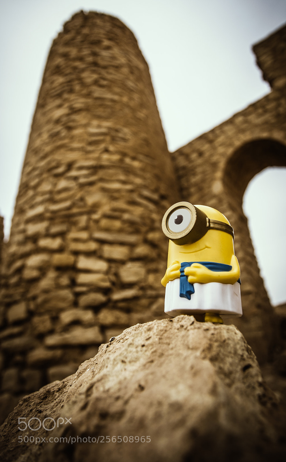 Canon EOS 6D sample photo. The second minion photography
