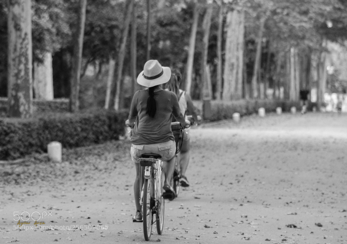 Canon EOS 600D (Rebel EOS T3i / EOS Kiss X5) sample photo. De paseo photography