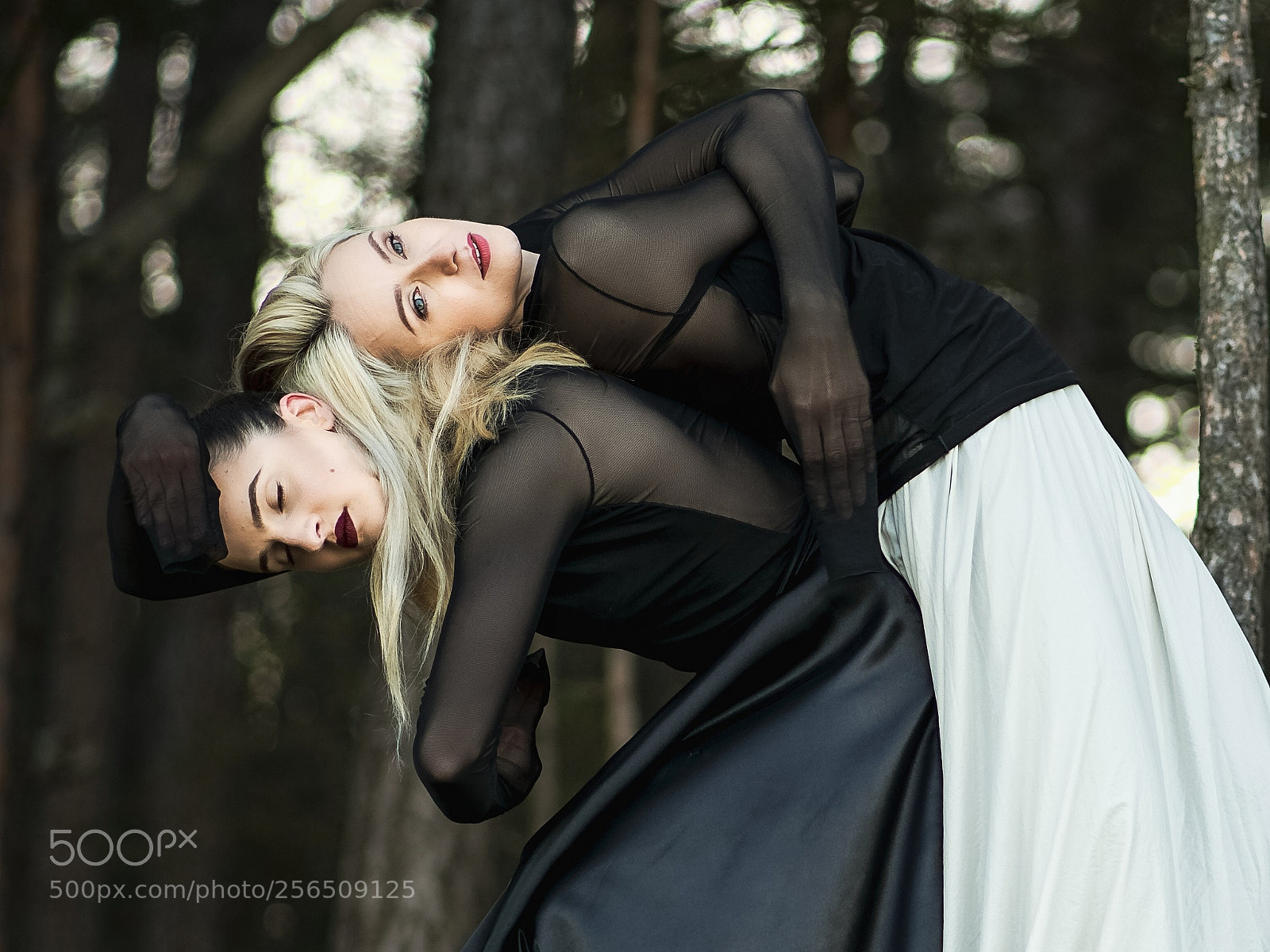 Sony a7R II sample photo. 1+1=1 photography