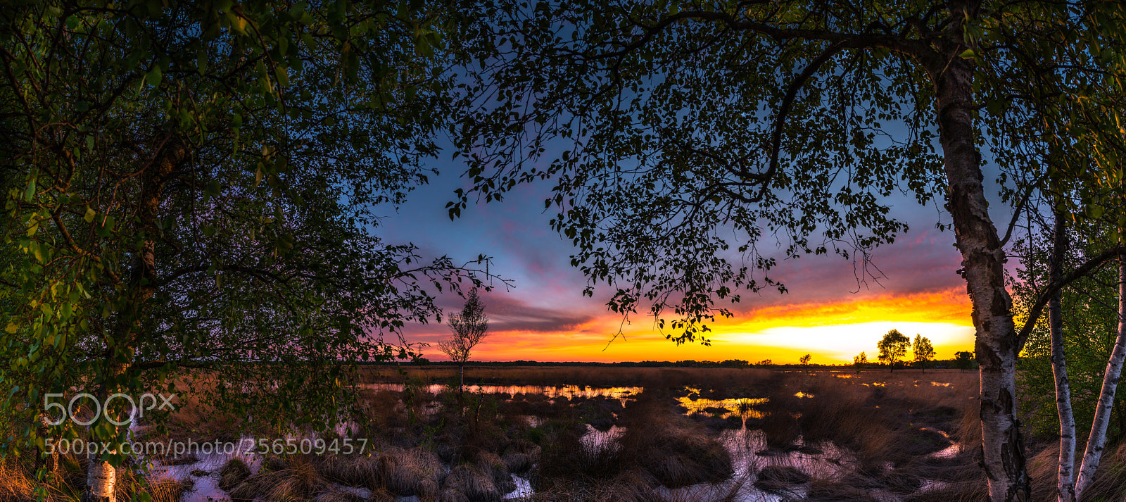 Canon EOS 6D sample photo. Sunset wierdense veld photography