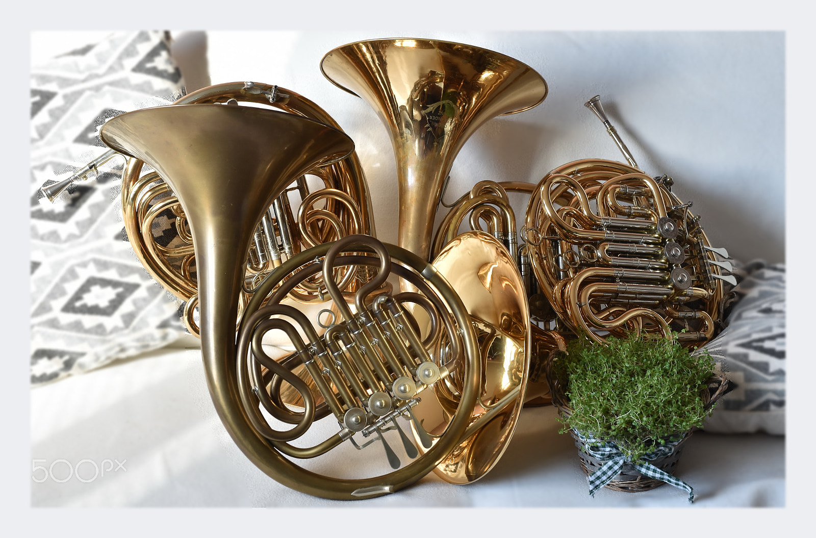 Nikon D5500 sample photo. French horns photography