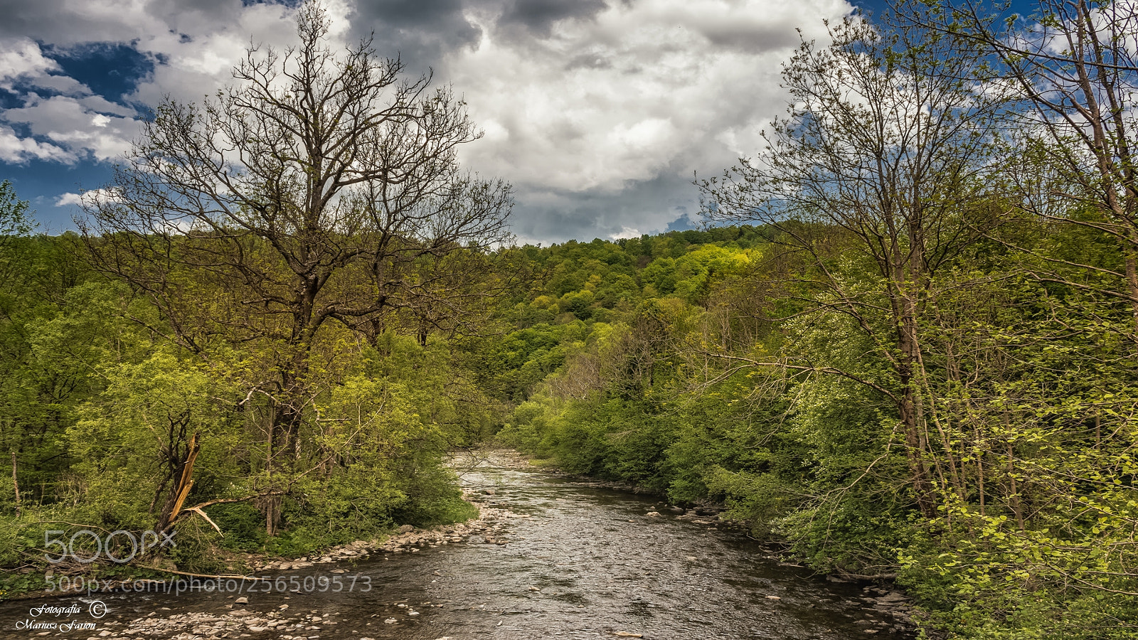 Nikon D7200 sample photo. "dzicz" photography