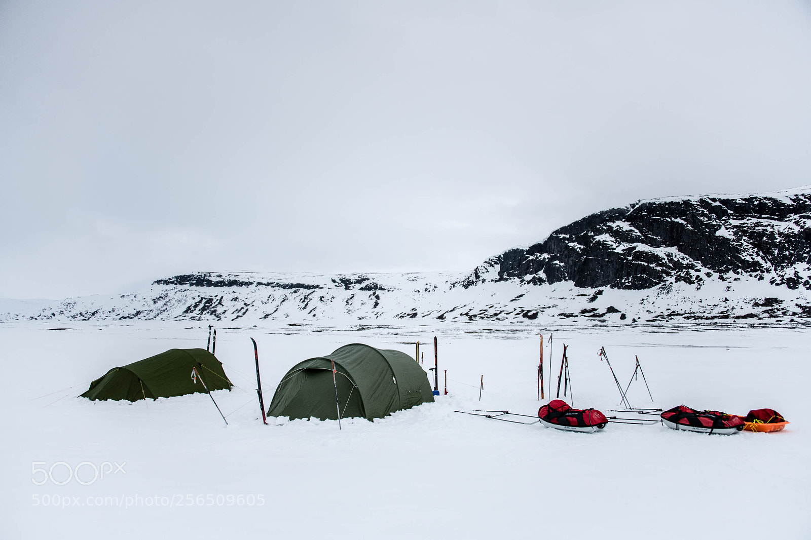 Nikon D850 sample photo. Arctic norway 2018 photography