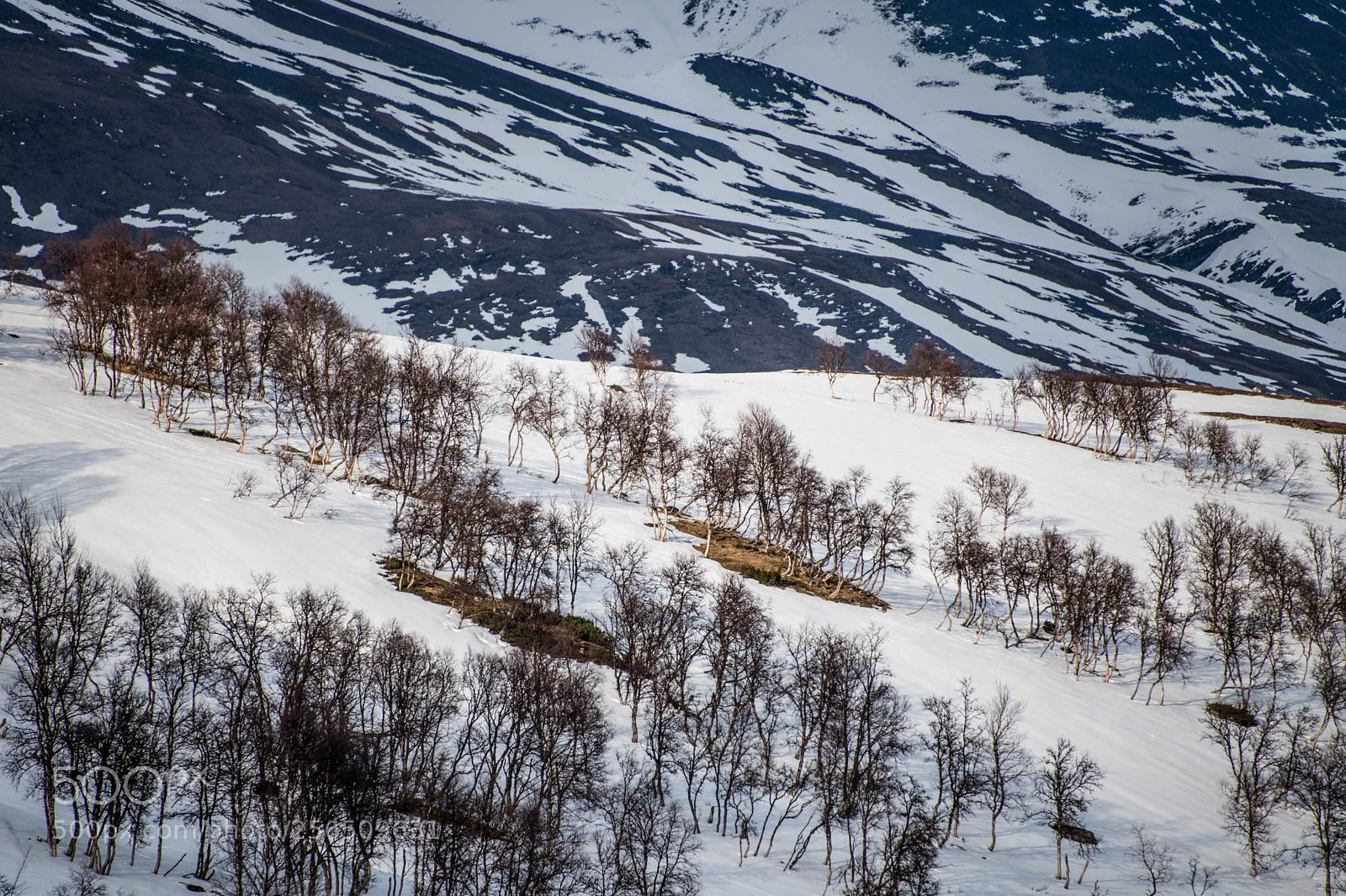 Nikon D850 sample photo. Arctic norway 2018 photography